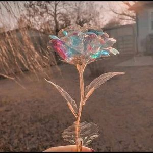 Meet your Posher, Cristina